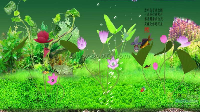 【荷花金鱼屏保】荷花金鱼屏保 V1.2.0官方免