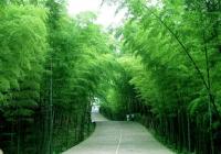 鄢陵县v图片-鄢陵县旅游景点-鄢陵县图片-鄢陵县instagram斯图加特美食图片