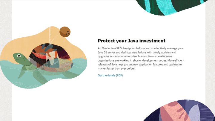 Java SE Development Kit(JDK)