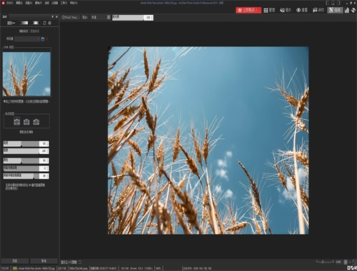 ACDSee Photo Studio Professional 2019