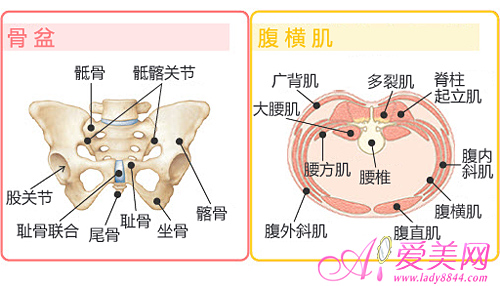 此时会感觉到脚趾与脚掌的压力会刺激骨盆 _感人网