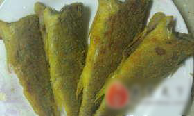 玉米面香煎黄花鱼
