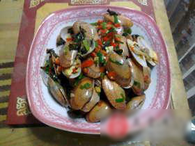 乌龙花蛤