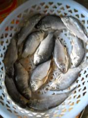 m_201103141523493.jpg