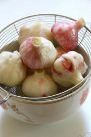怎样腌制糖蒜最好吃视频 5157c81c9ecb11e38844b8ca3aeed2d7.jpg