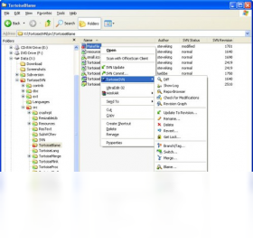 TortoiseSVN 64位